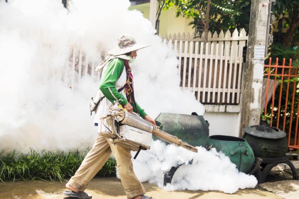 Cidades Mais Afetadas pela Dengue no México