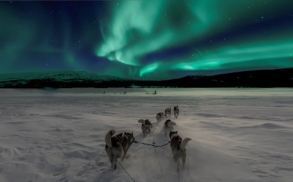 Aurora Boreal: Um Espetáculo Celestial