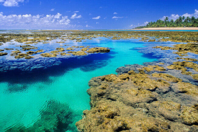 Melhores Praias do Brasil - Praia de Taipu de Fora