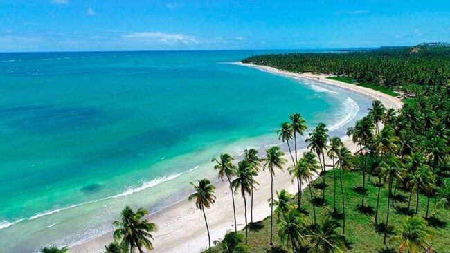 Melhores Praias do Brasil - Praia do Patacho – Porto de Pedras, Alagoas